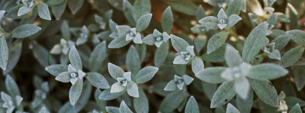 banner3