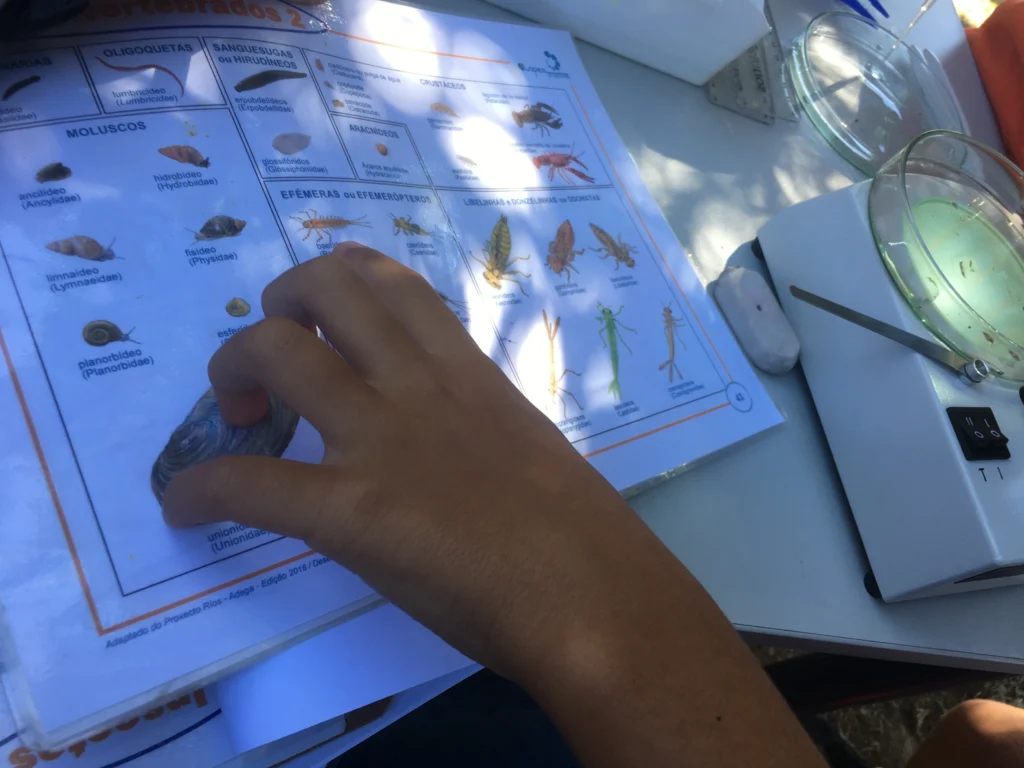 AnimaBotanica-EducaçãoArLivre