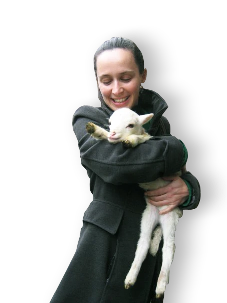 Anima Botanica Maria Mota Apresentacao