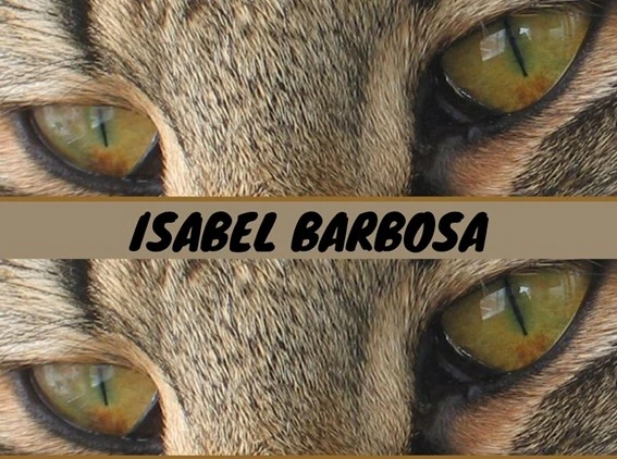 AnimaBotanica-Testemunho-IsabelBarbosa